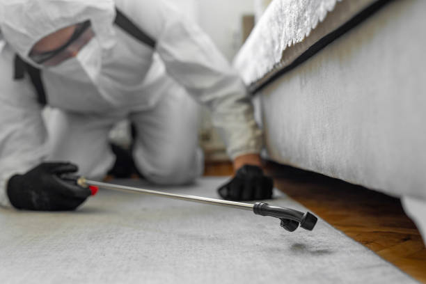 Professional Ant Control technician working in Flower Hill, NY